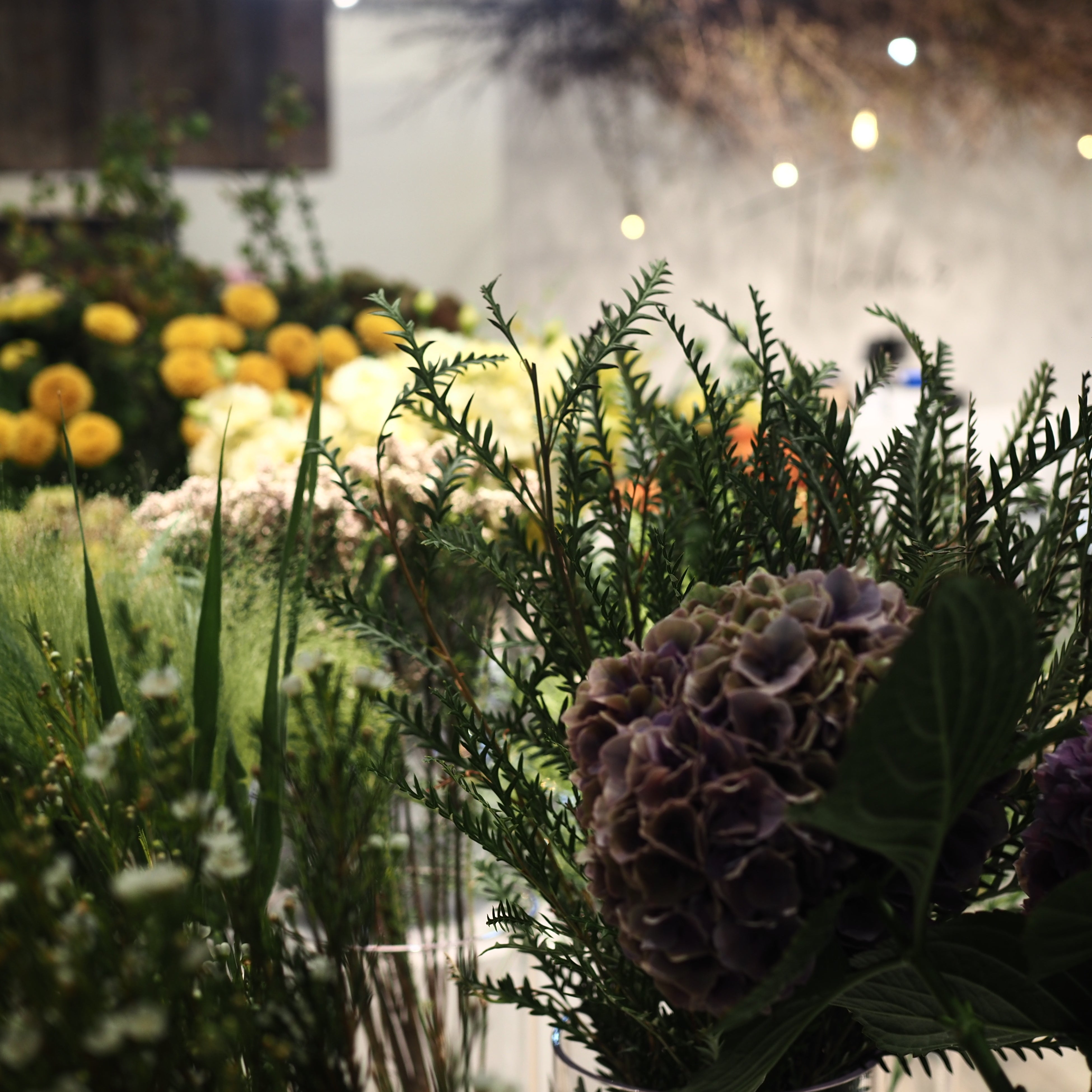 フラワー・ガーデニング trururu ガーデニングコース | 日本総合園芸の花のサブスク | 花の定期便