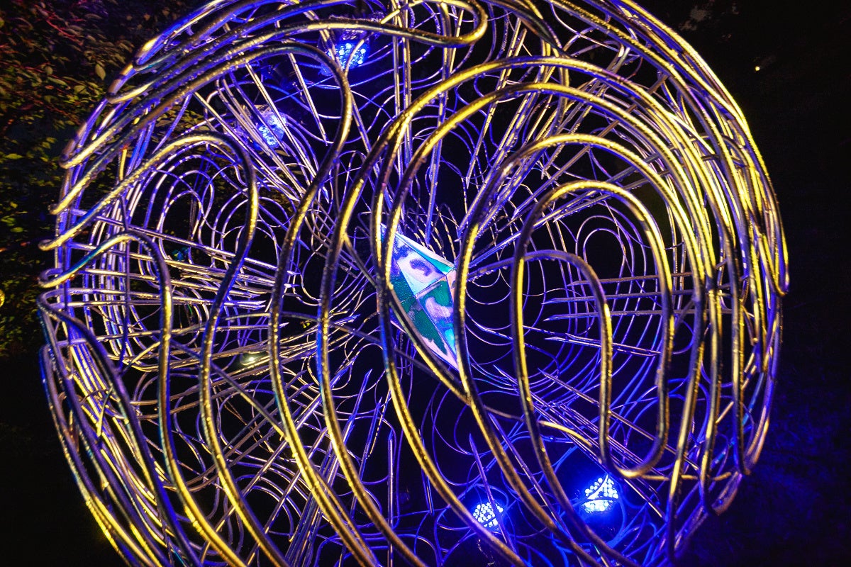 サキシラズ過去実績1