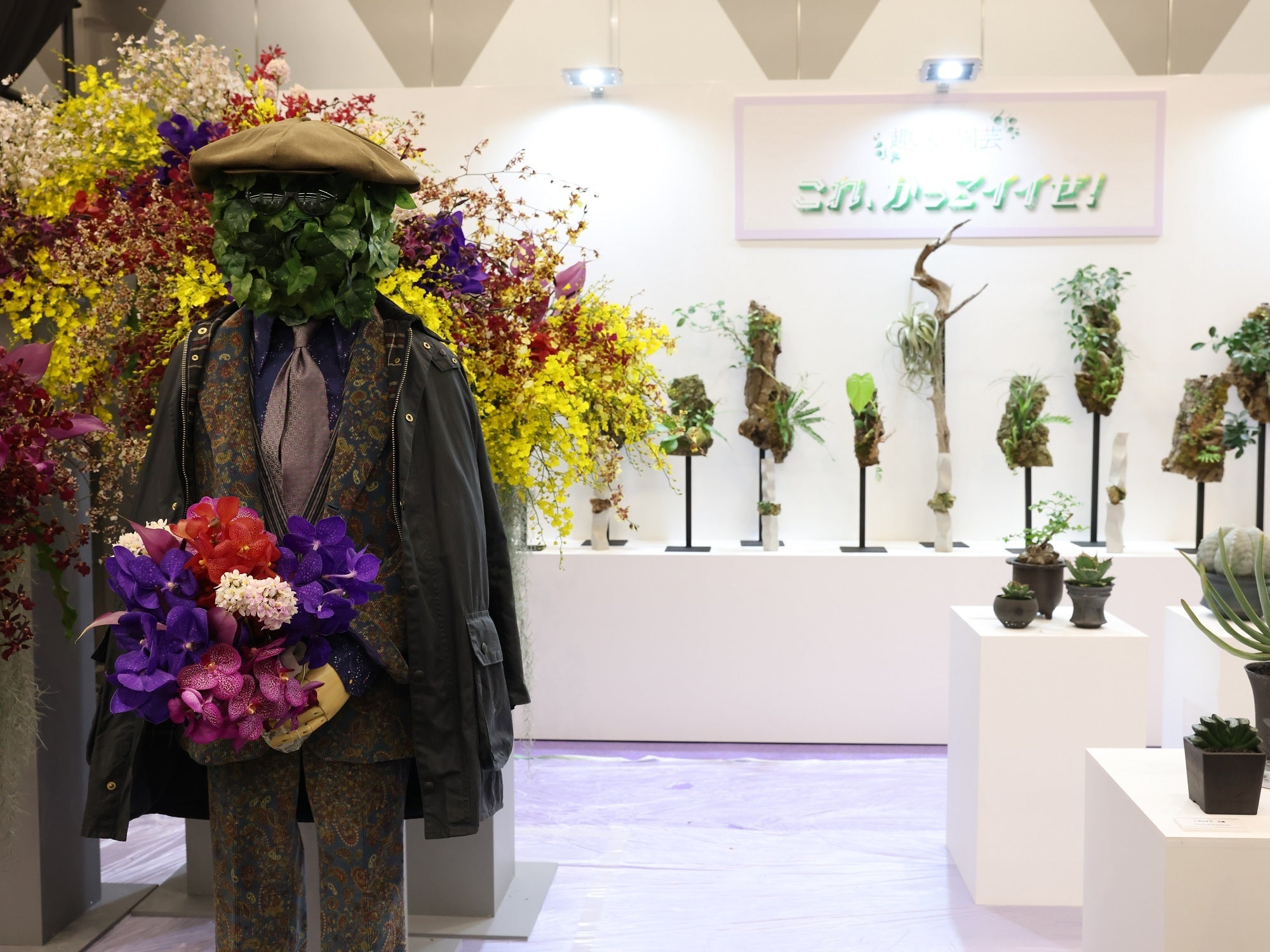 ＮＨＫ 『趣味の園芸』 “これ、かっこイイぜ！”