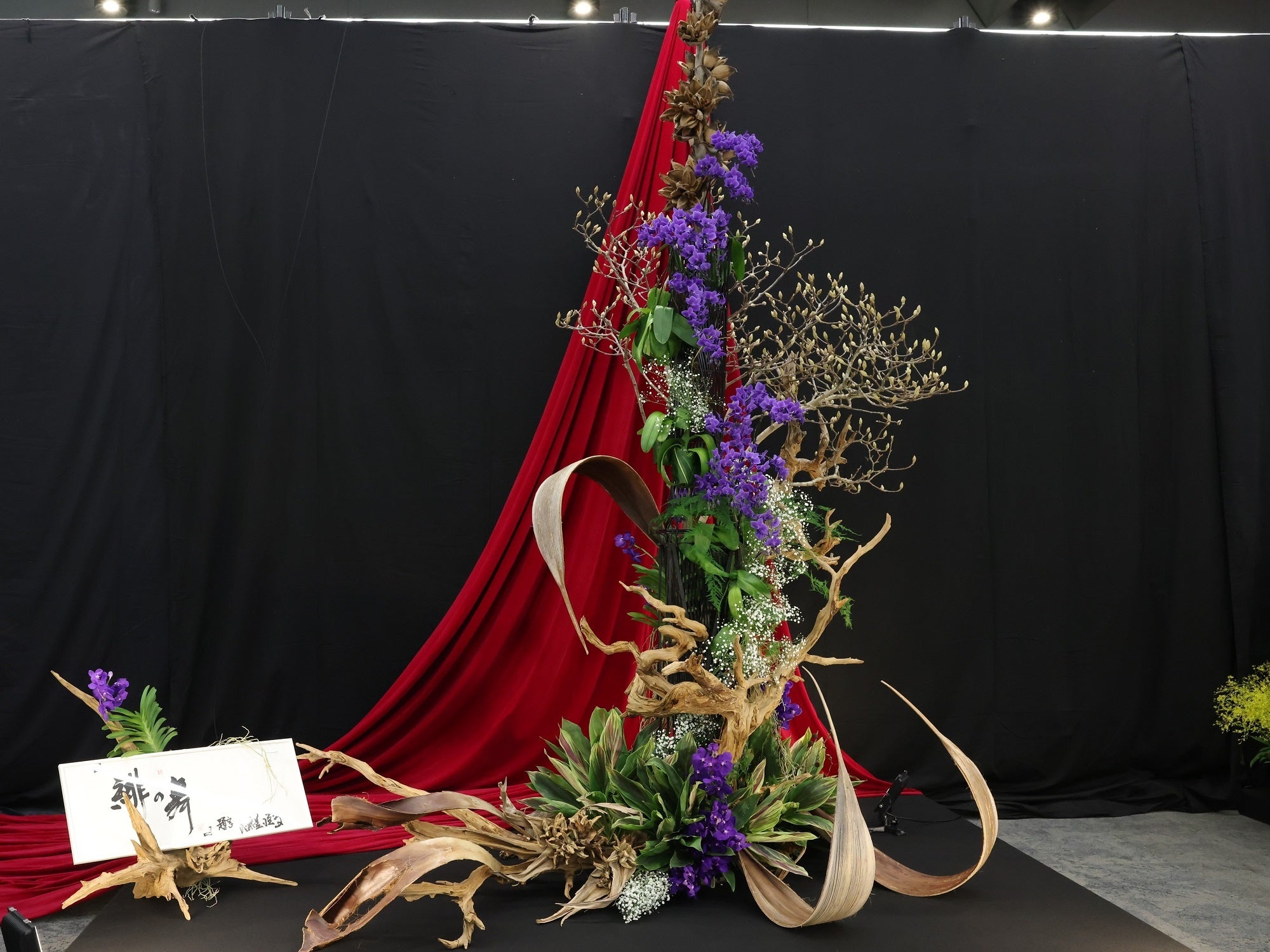 志穂美悦子さん作品