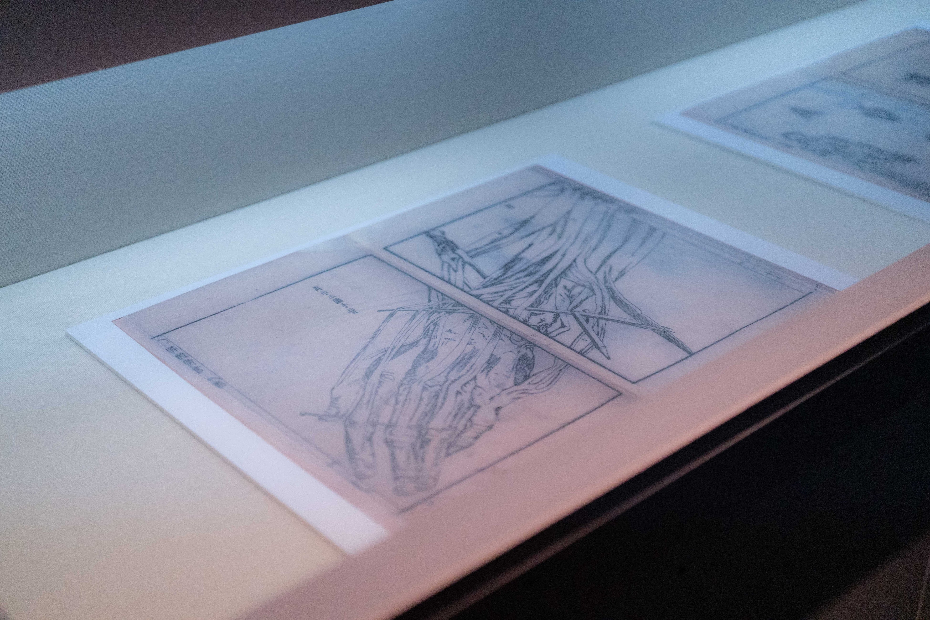 にんげんスケスケ