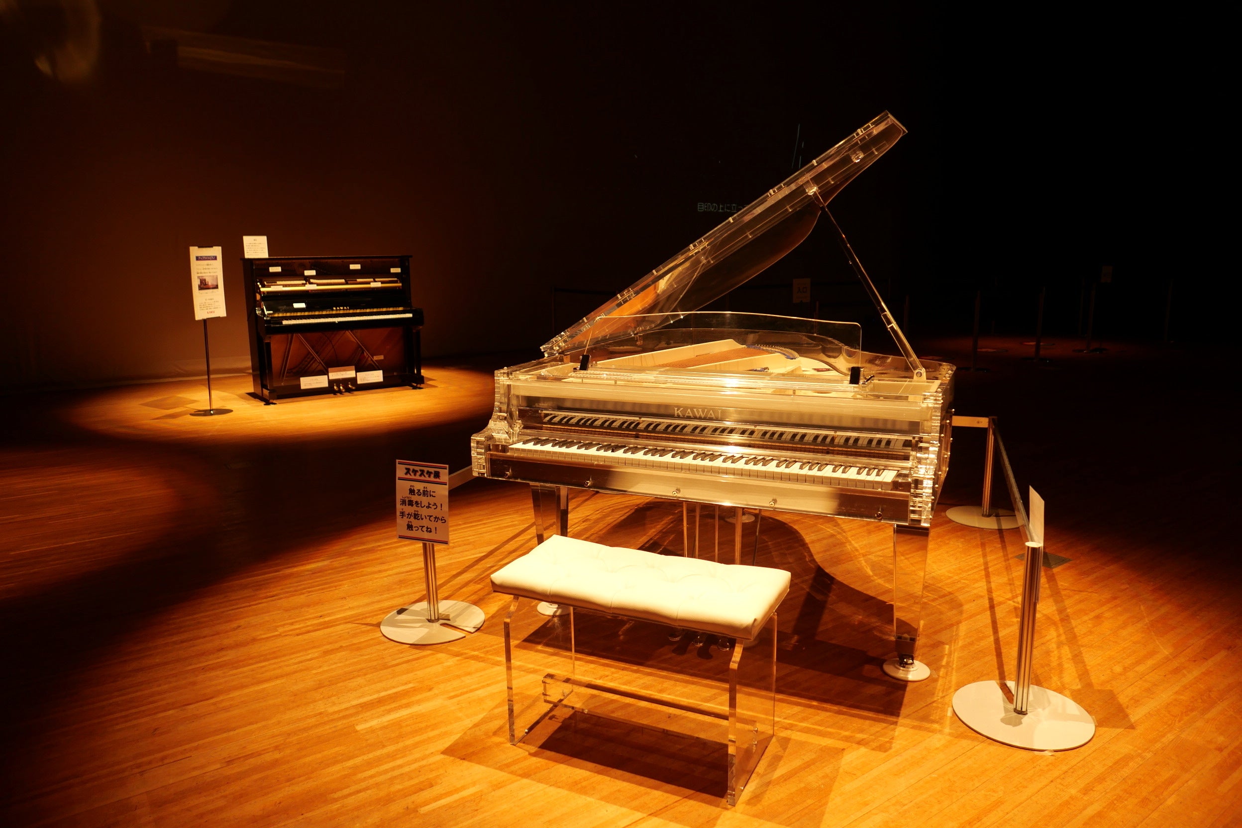 スケスケナイト（イメージ）