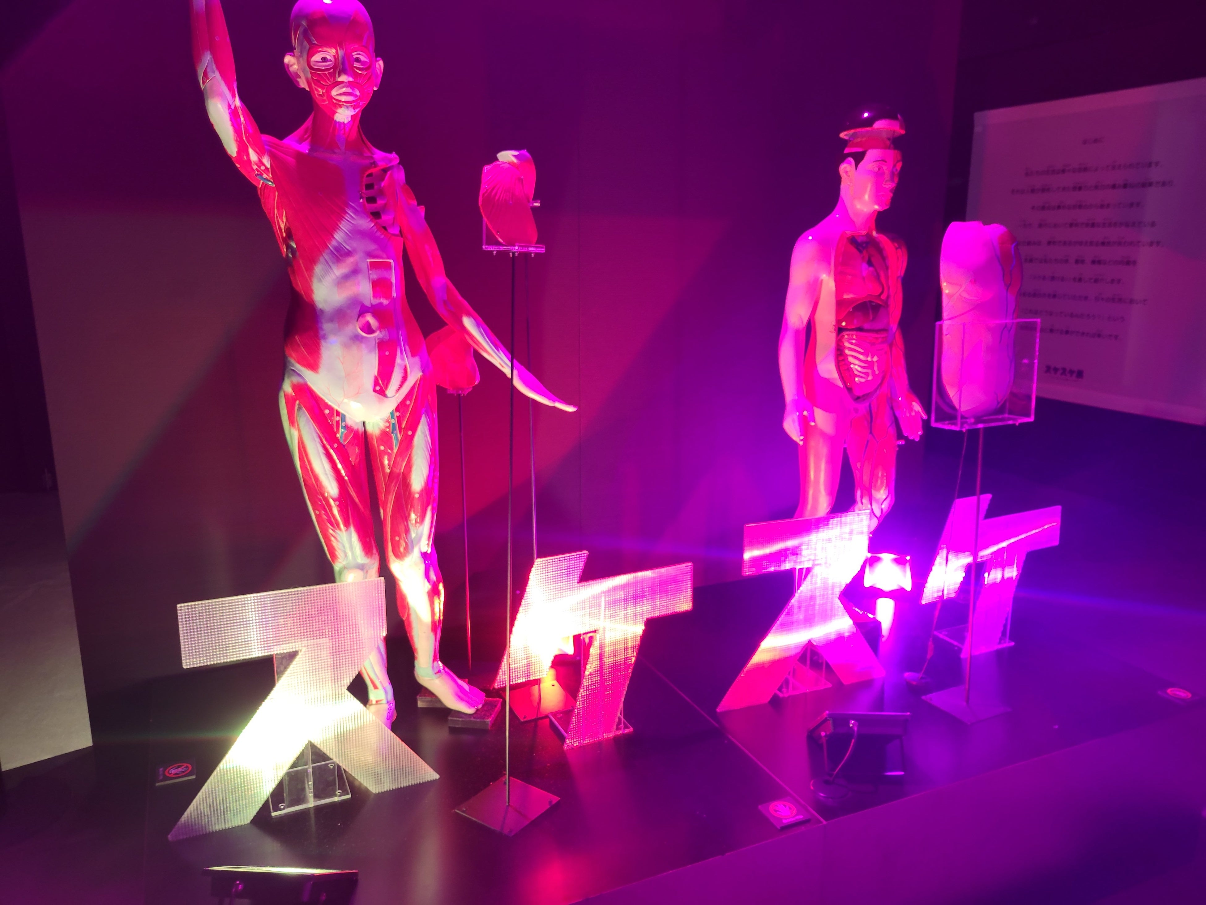 スケスケナイトの様子