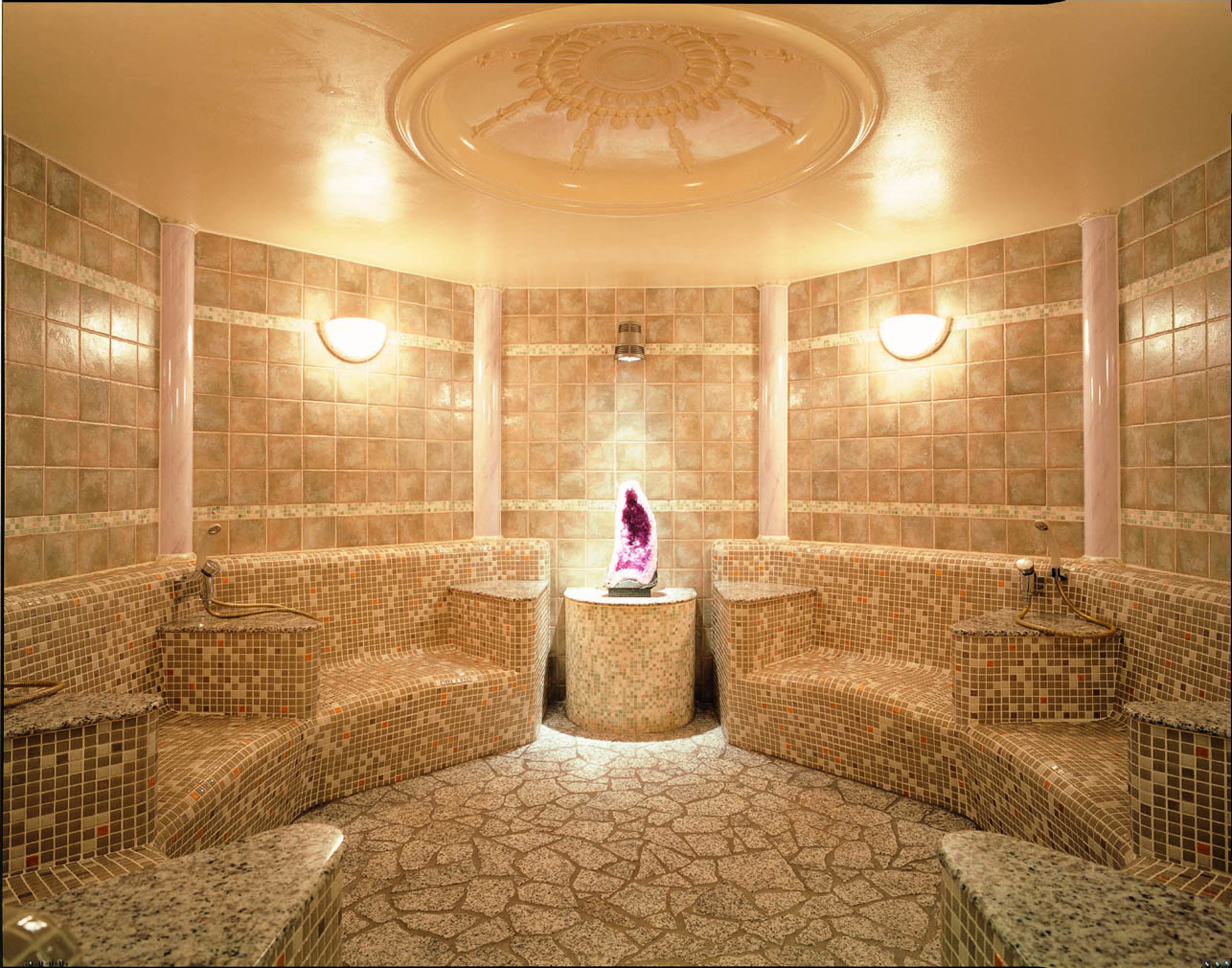 ミストサウナ「テルマーレ」