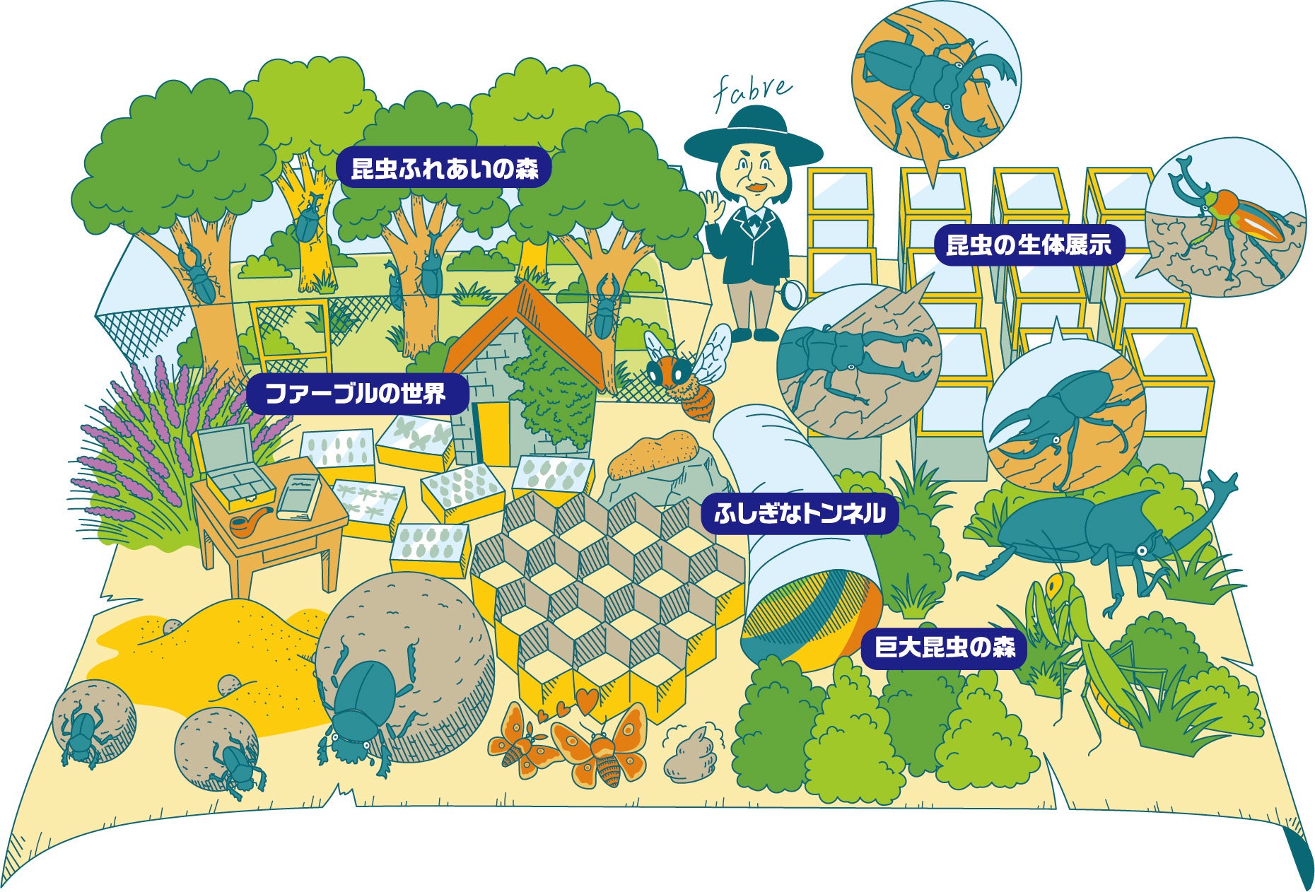 館内の様子　イメージ