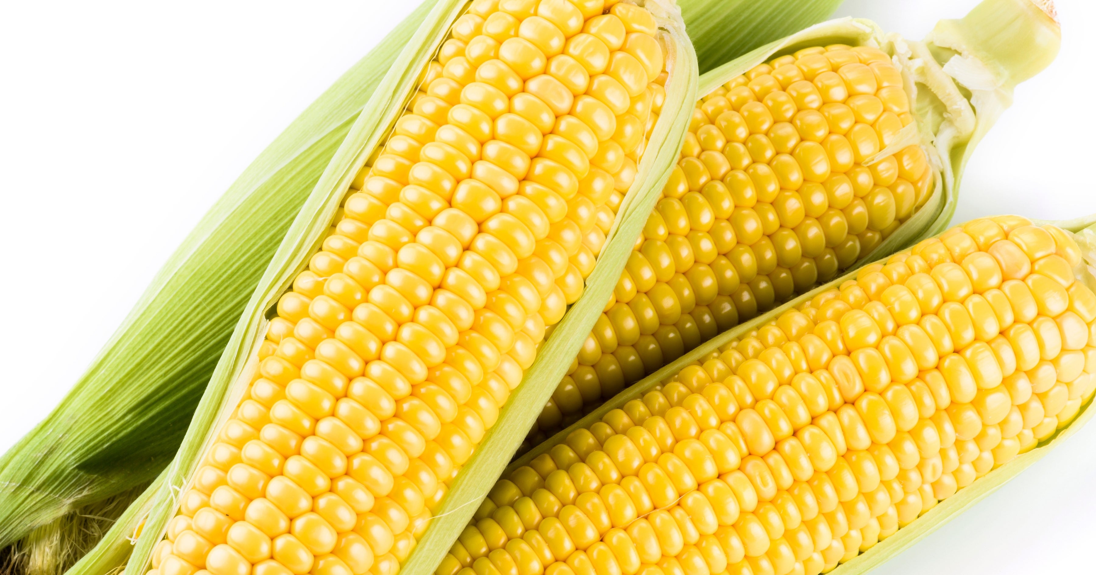 白石町の特産品「スイートコーン」