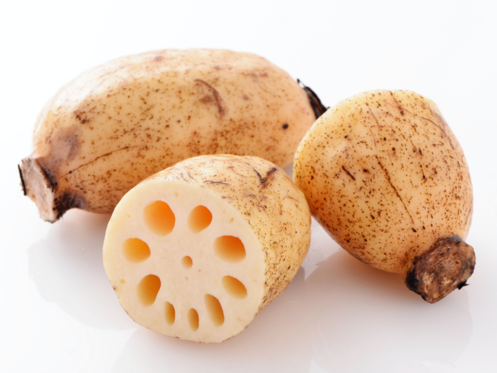 白石町の特産品「しろいしれんこん」　