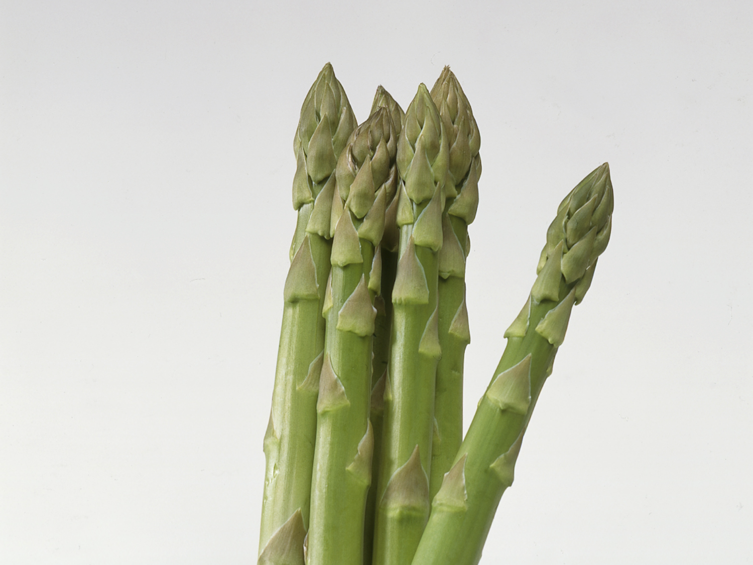 アスパラガス