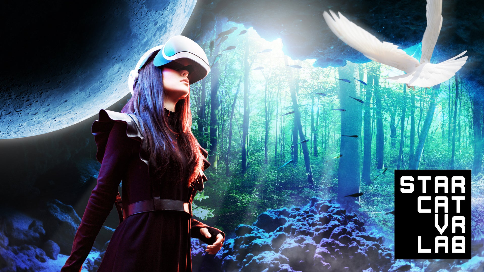 STARCAT VR LAB
