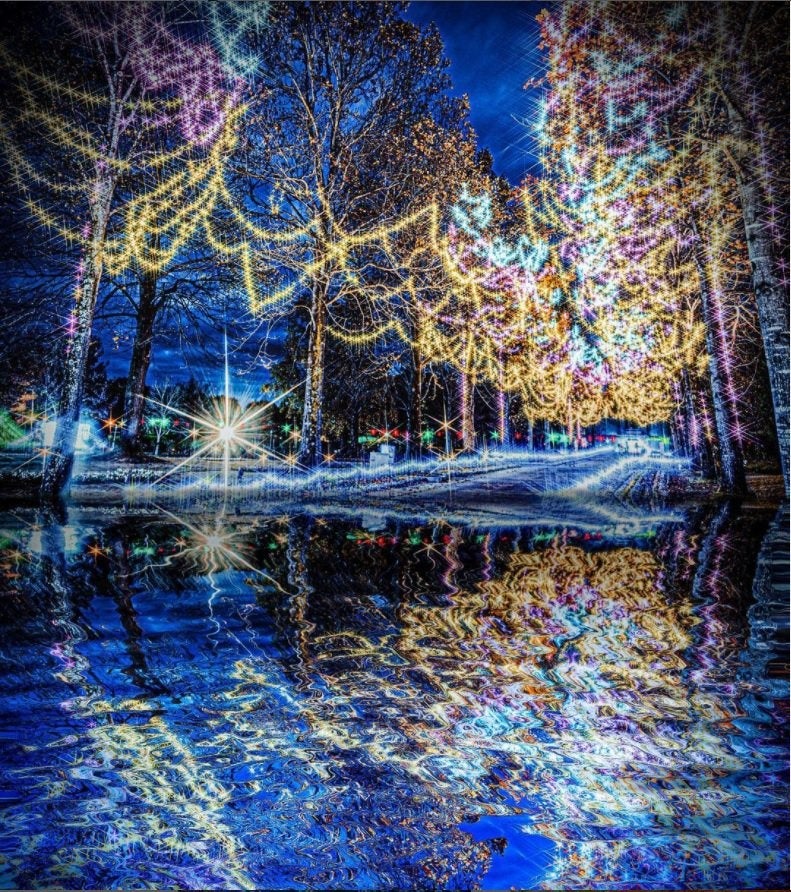 花回廊フォトコン2021優秀賞作品