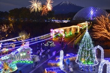 冬にはイルミネーションも実施