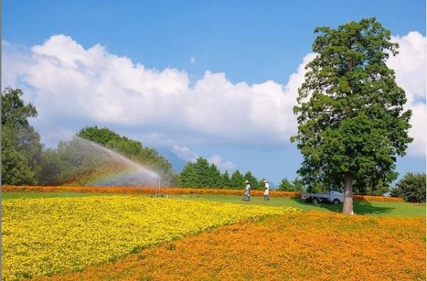 花回廊フォトコン2021優秀賞作品