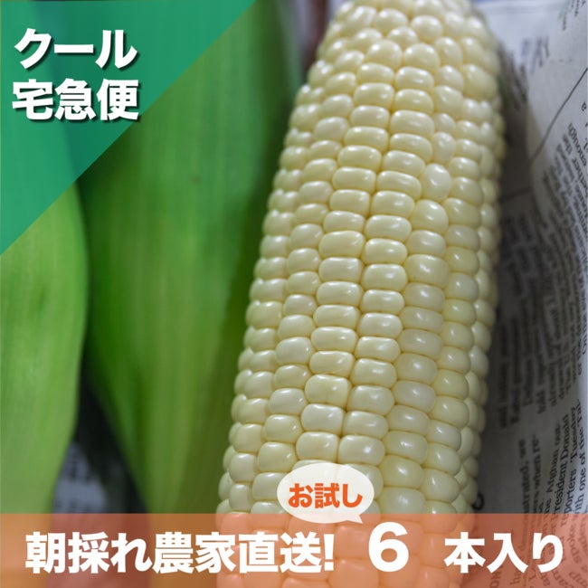 沖縄県内 お試し用6本入:¥ 4,180