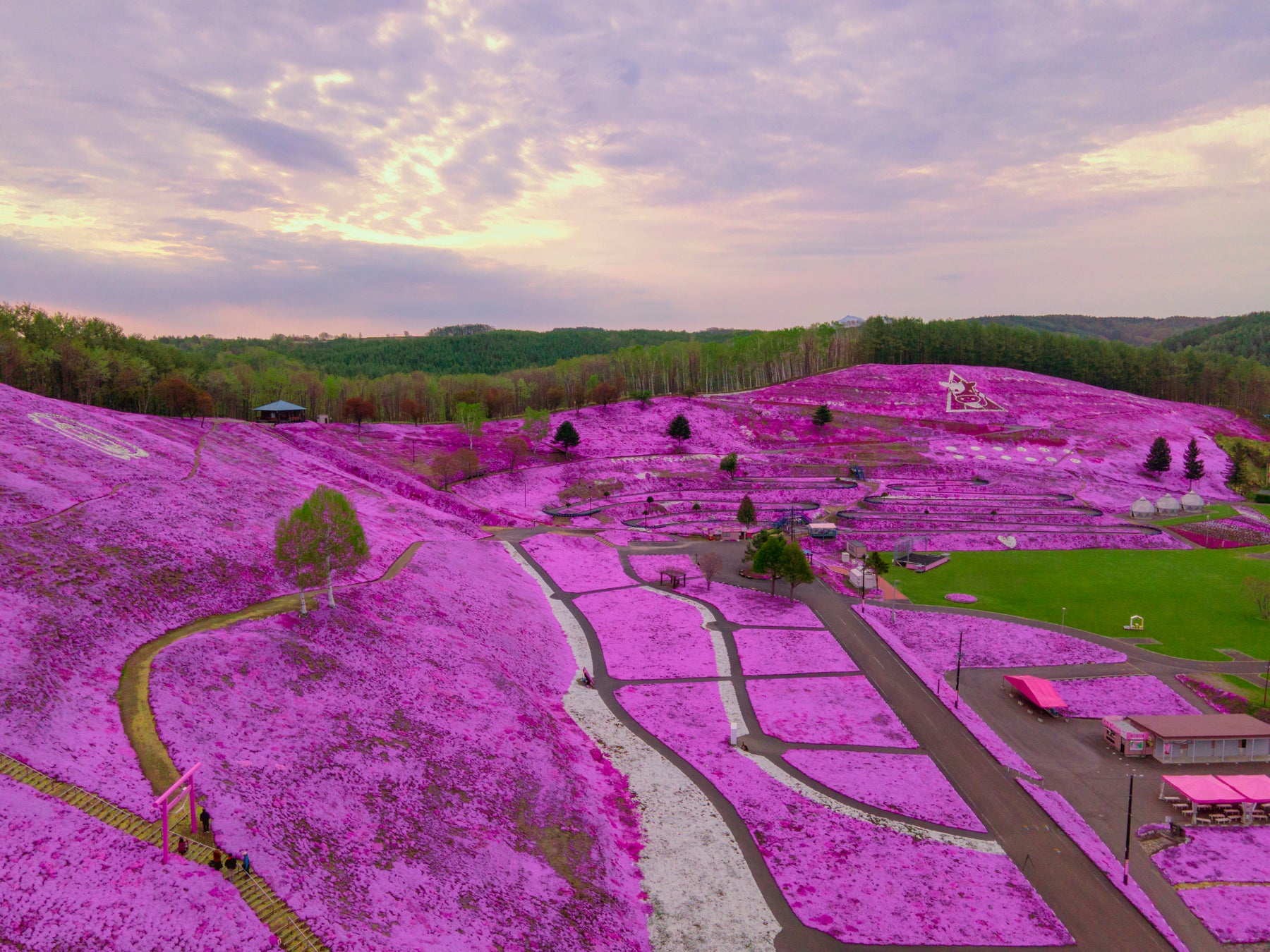 ひがしもこと芝桜公園