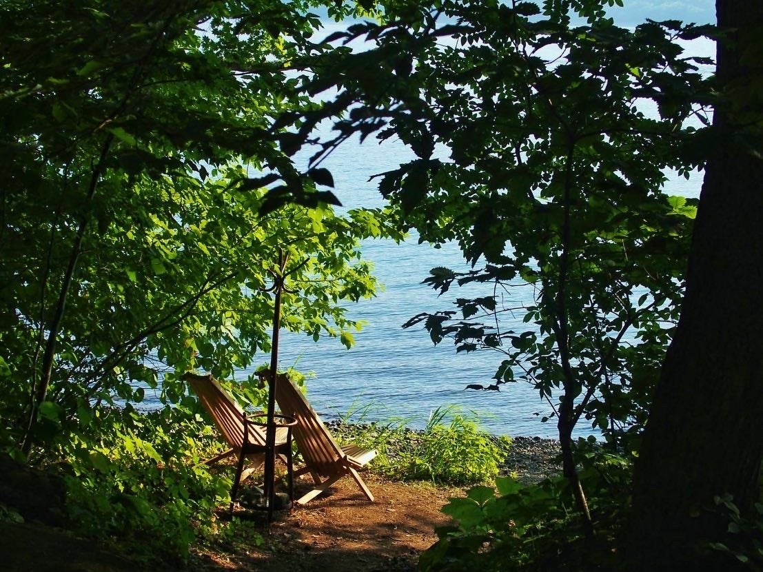 十和田湖にダイブしたり眺めたり。自然の一部となる体験です。