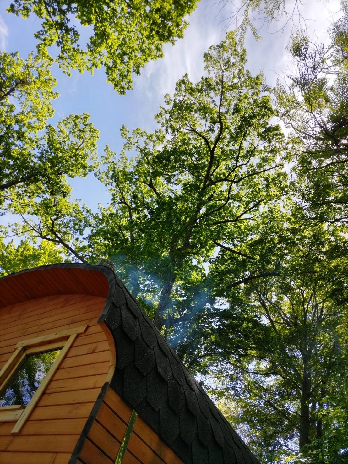 十和田サウナは森の中のサウナです