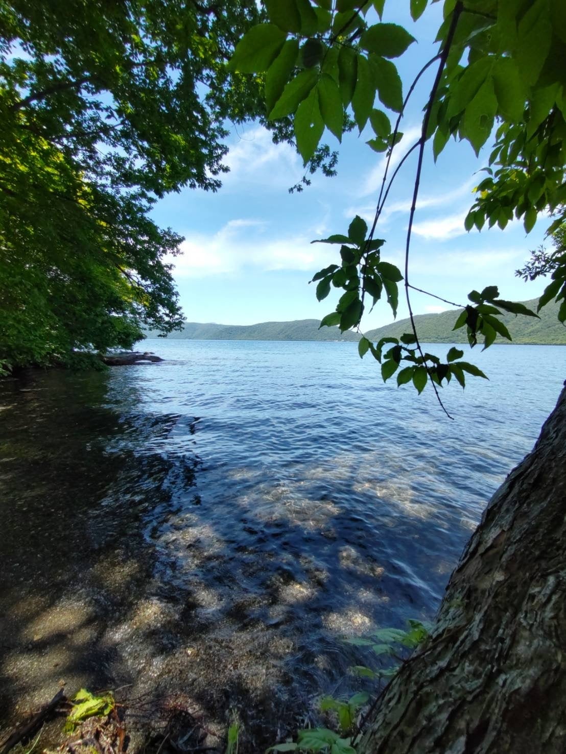 水風呂は十和田湖です
