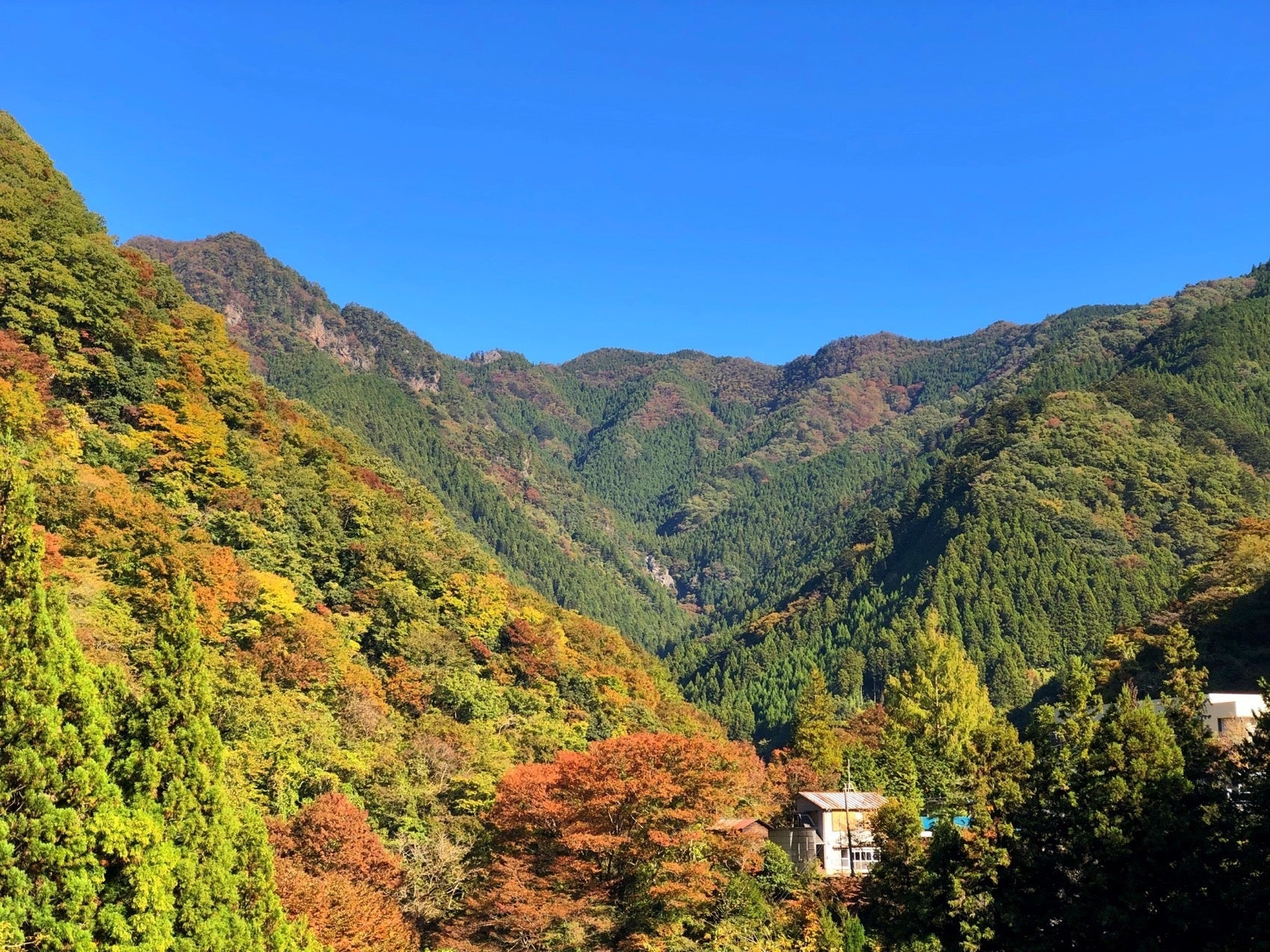 東京・秋川渓谷でサイクリング×謎解き！さわやかな秋風の中