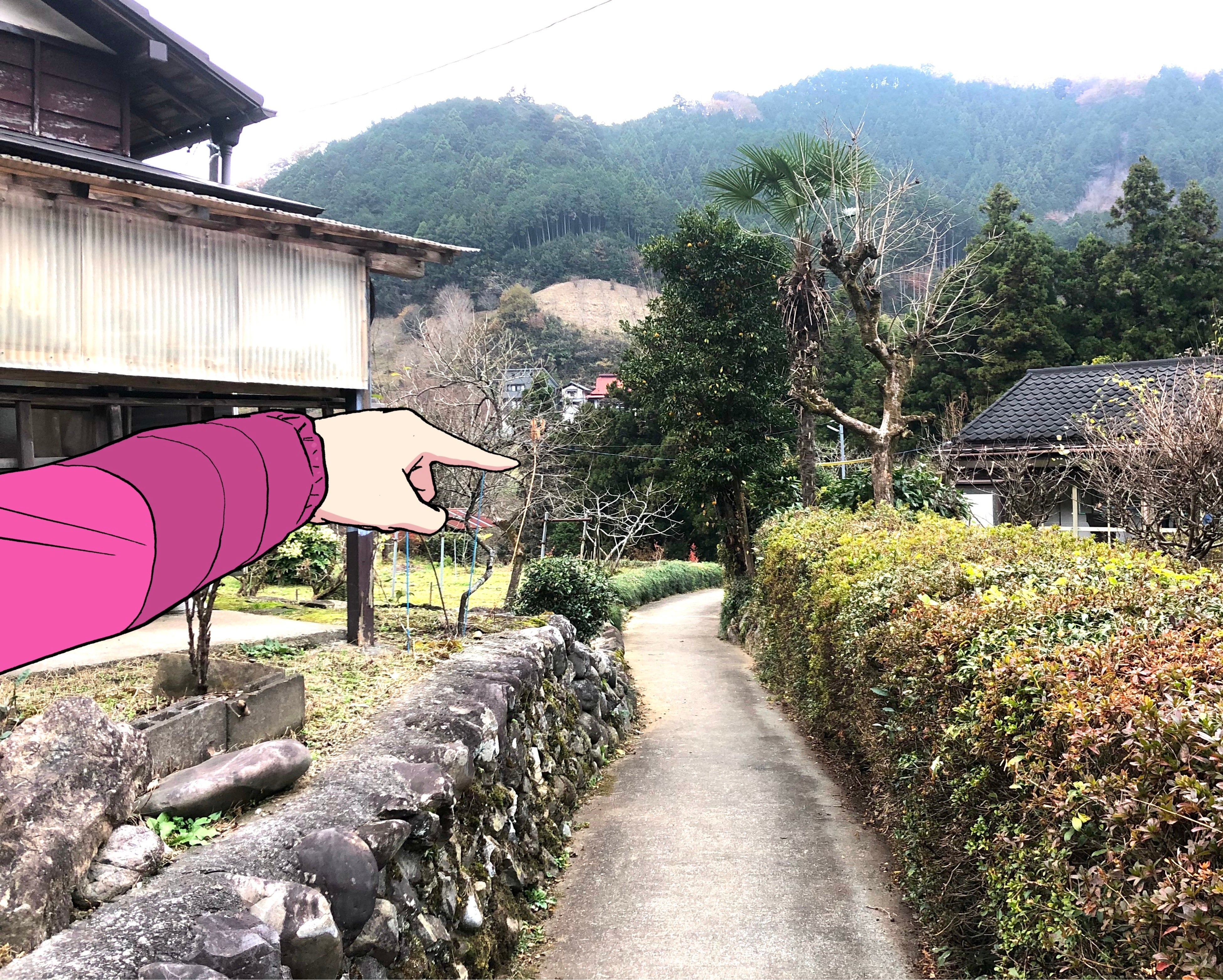 No. 1【初夏の紀の川里風景】 No. 1【初夏の紀の川里風景】