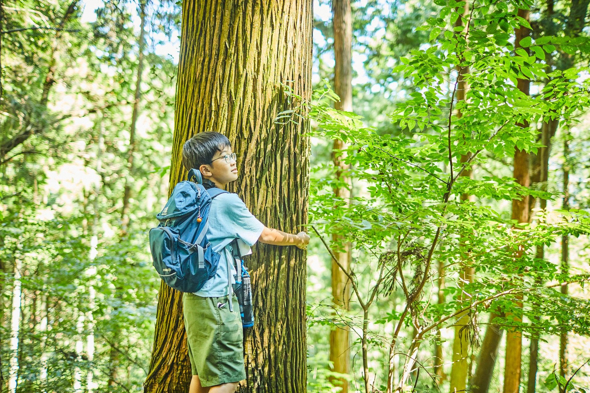 どことなくあったかい、この感じ。