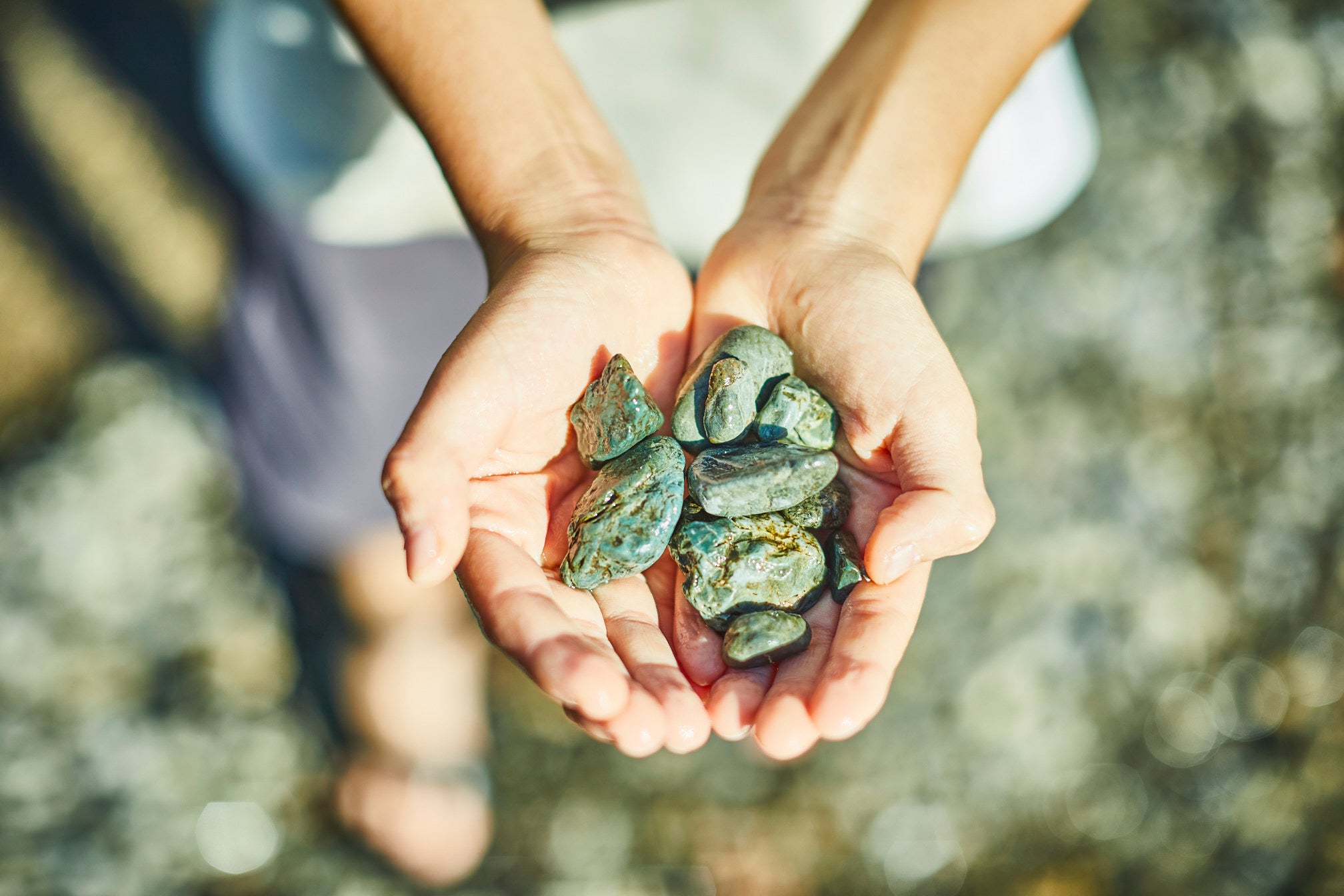 キラキラ、いろんな色をみっけよう