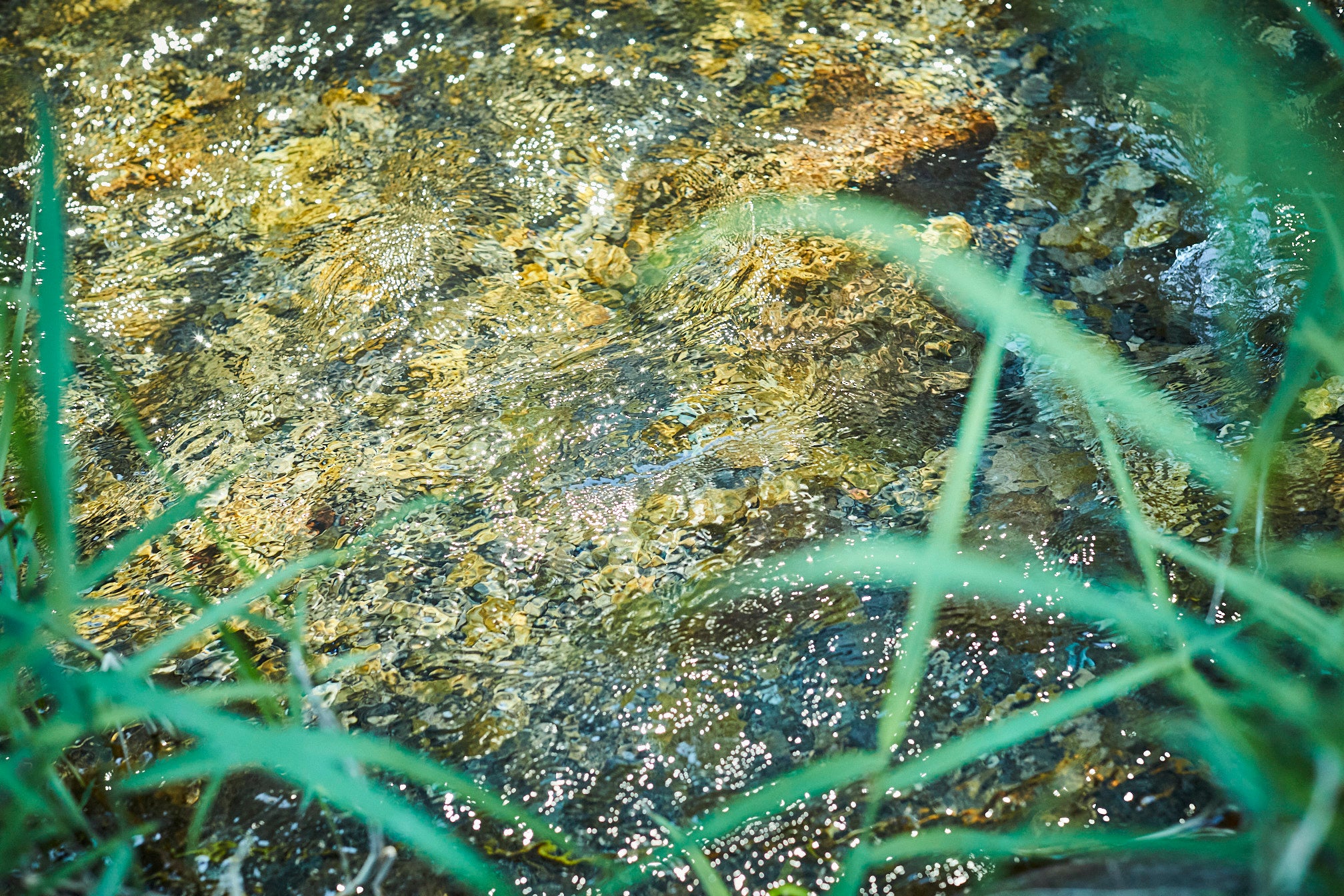 サラサラ、キラキラ、この音と光もアートだね