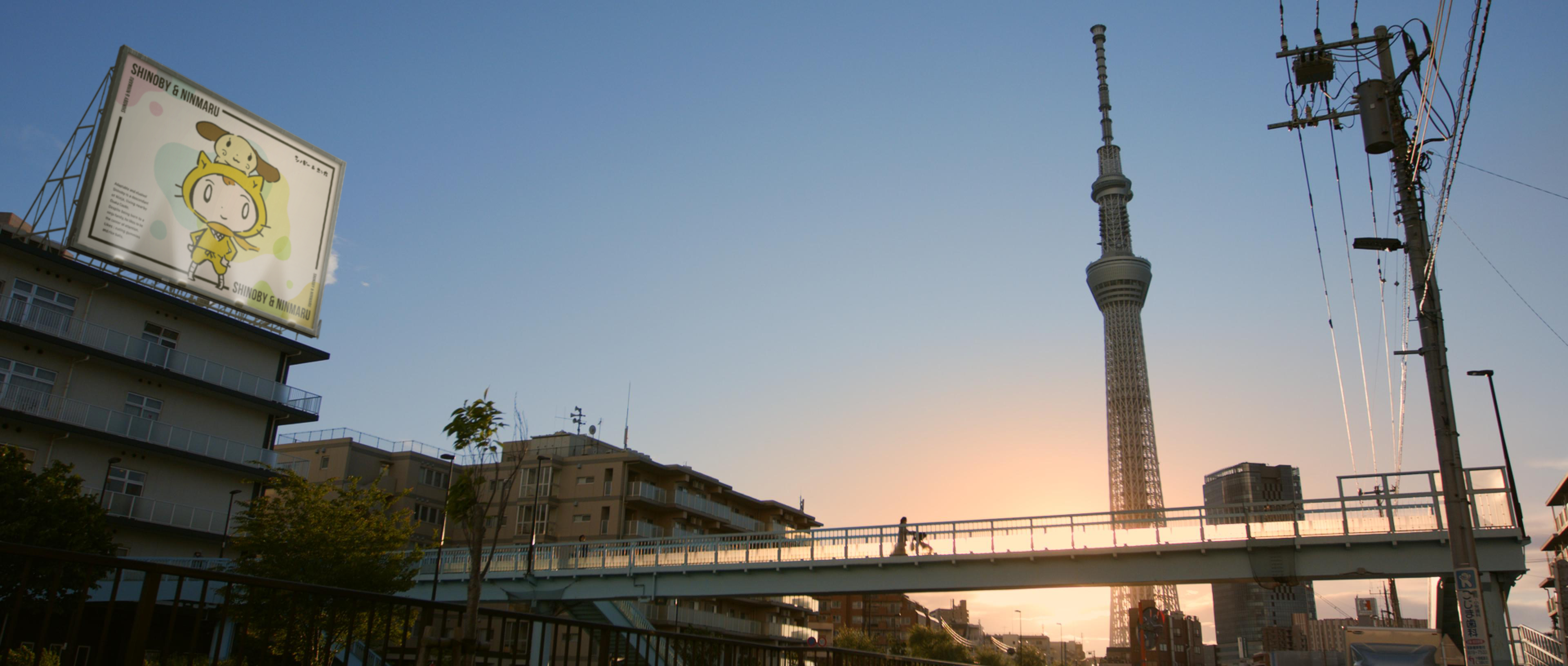 プレイスメント後　映画画像