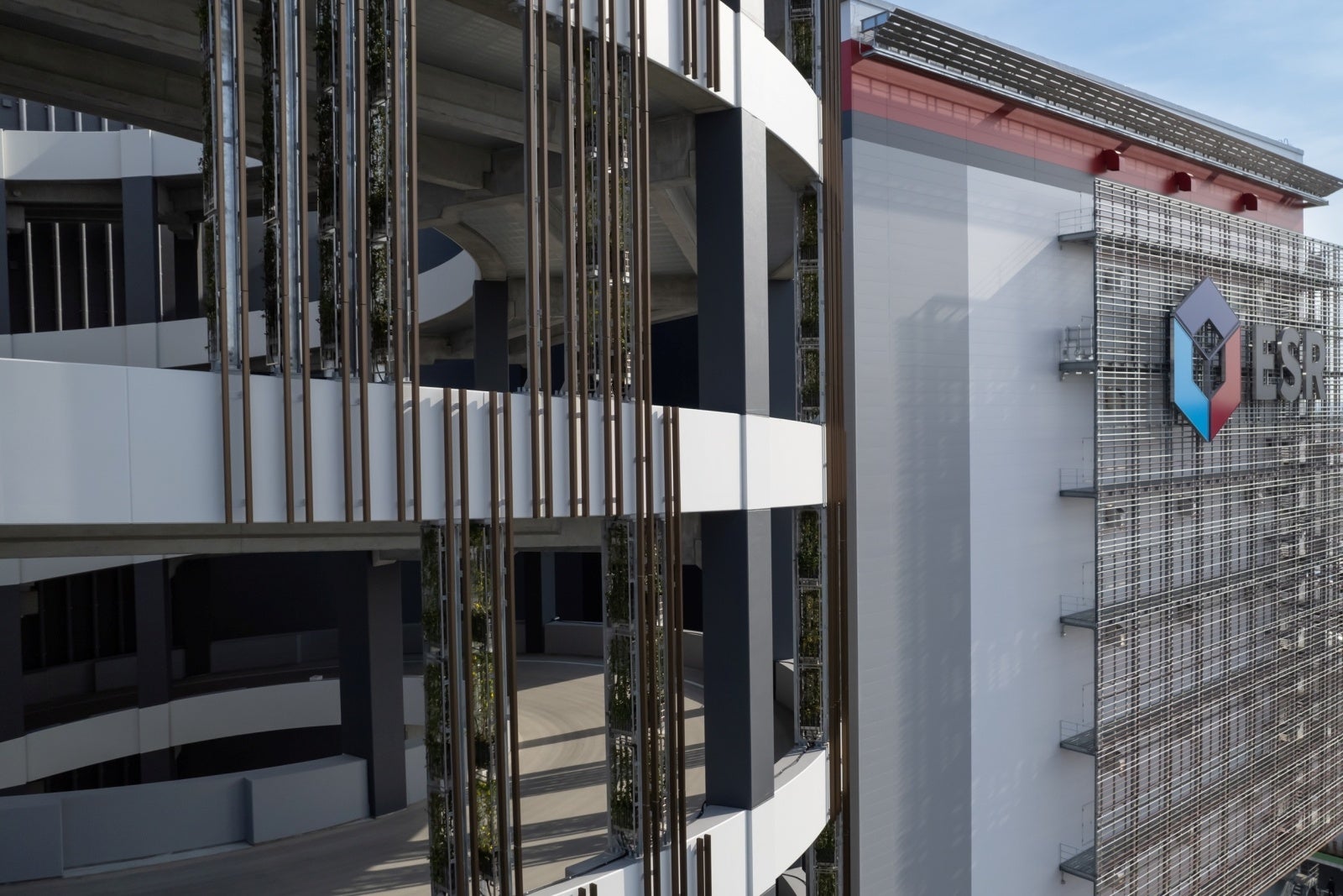 北側ランプウェイの壁面緑化