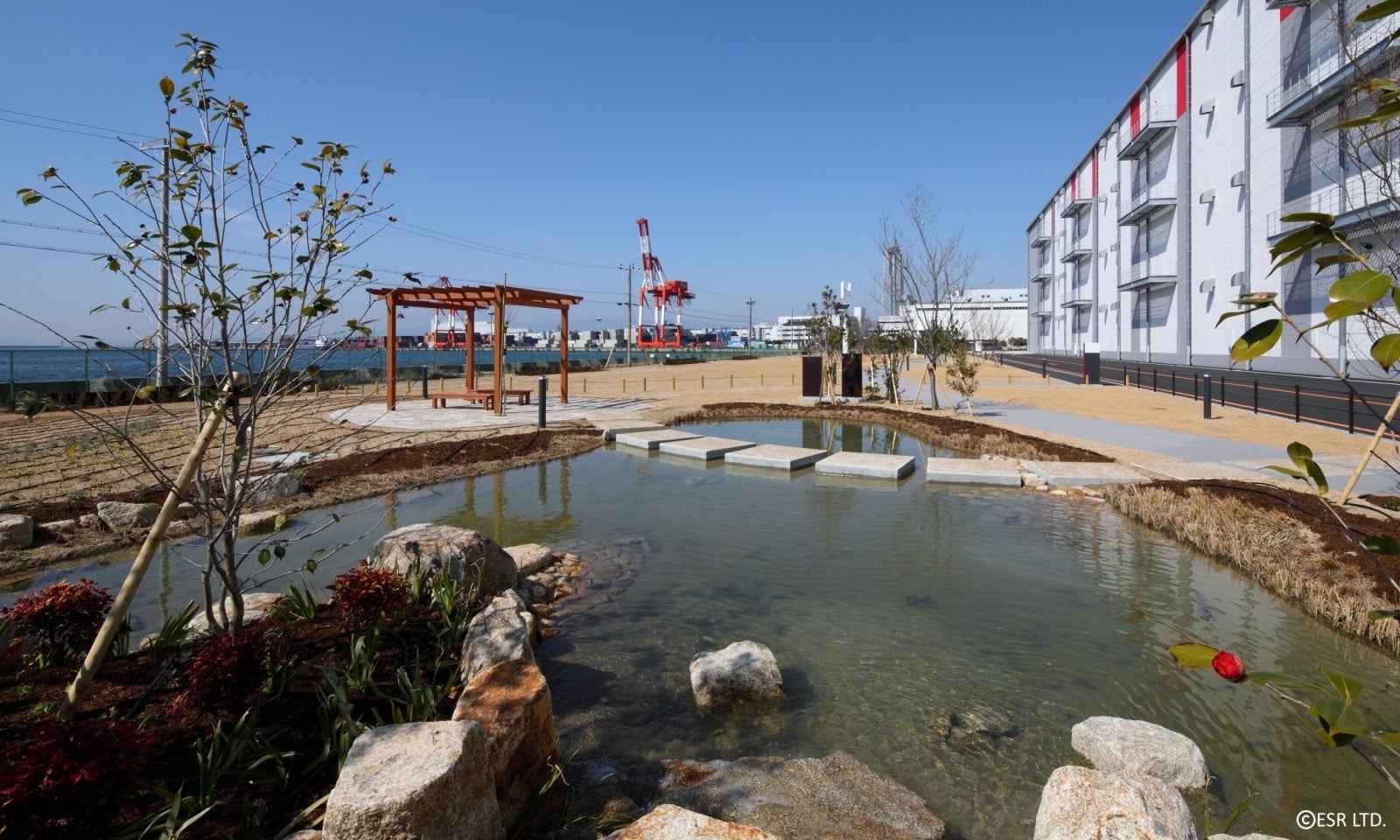 南港DC2のビオトープ