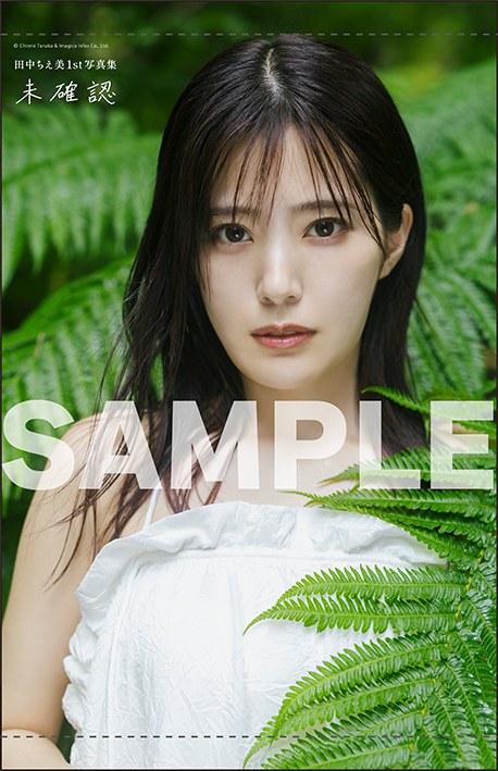 ゲーマーズ限定版A3タペストリー