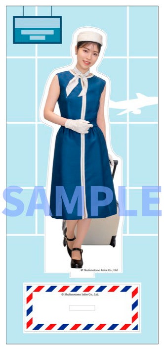 主婦の友インフォス限定版／ビッグアクリルスタンド