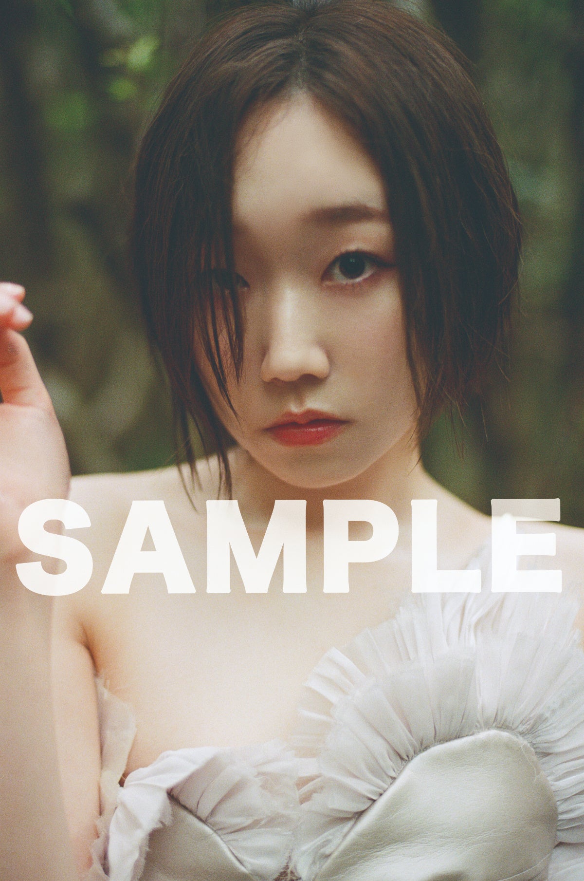 主婦の友インフォスEC特典ブロマイド