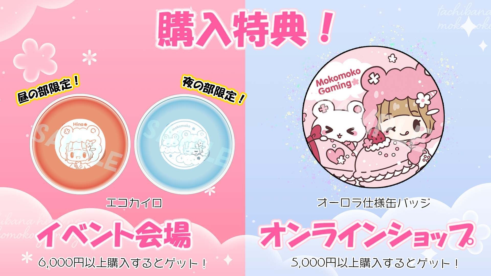 立花日菜　もこげ　サイン 7785-969-