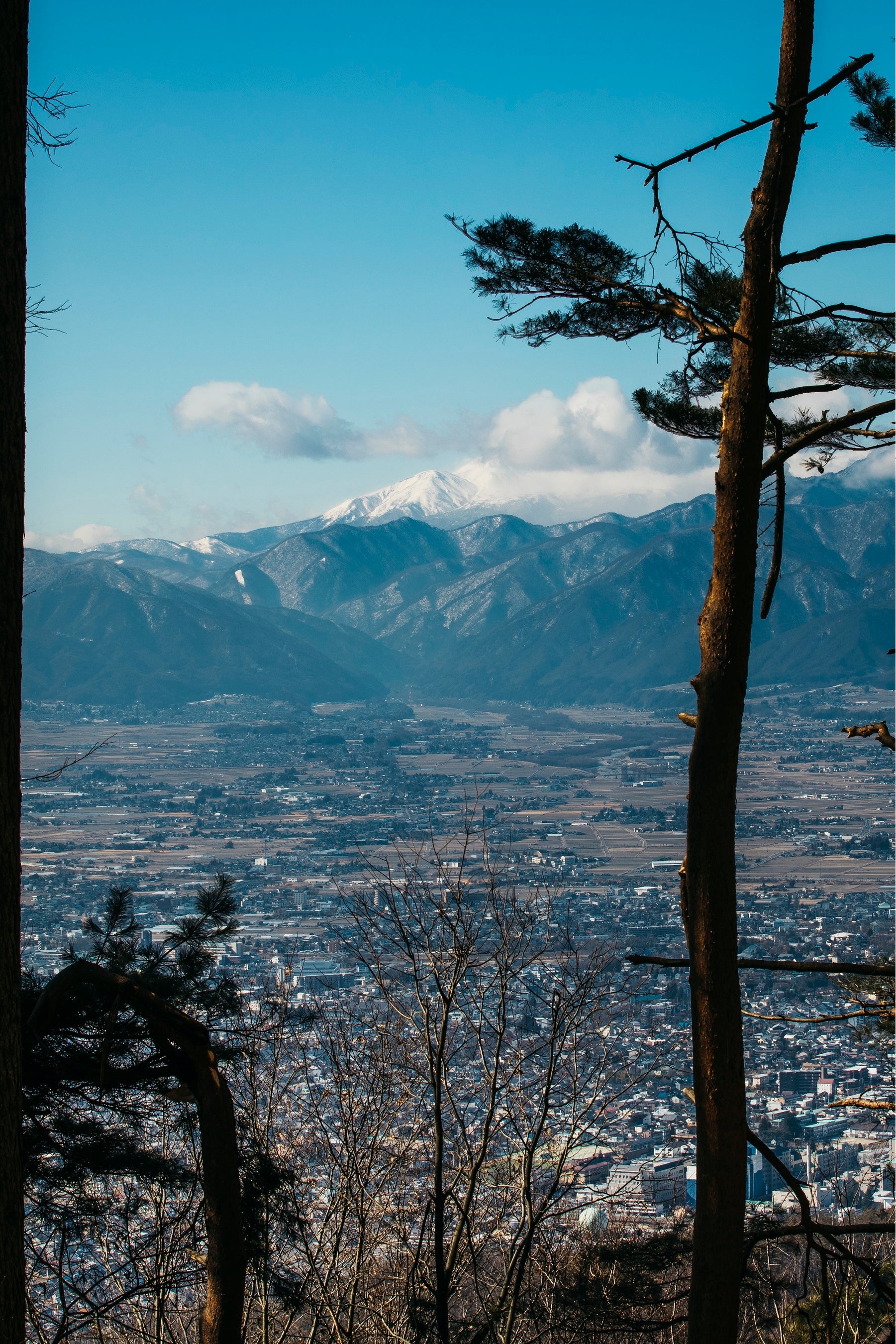 photo by　Shota Kumagai