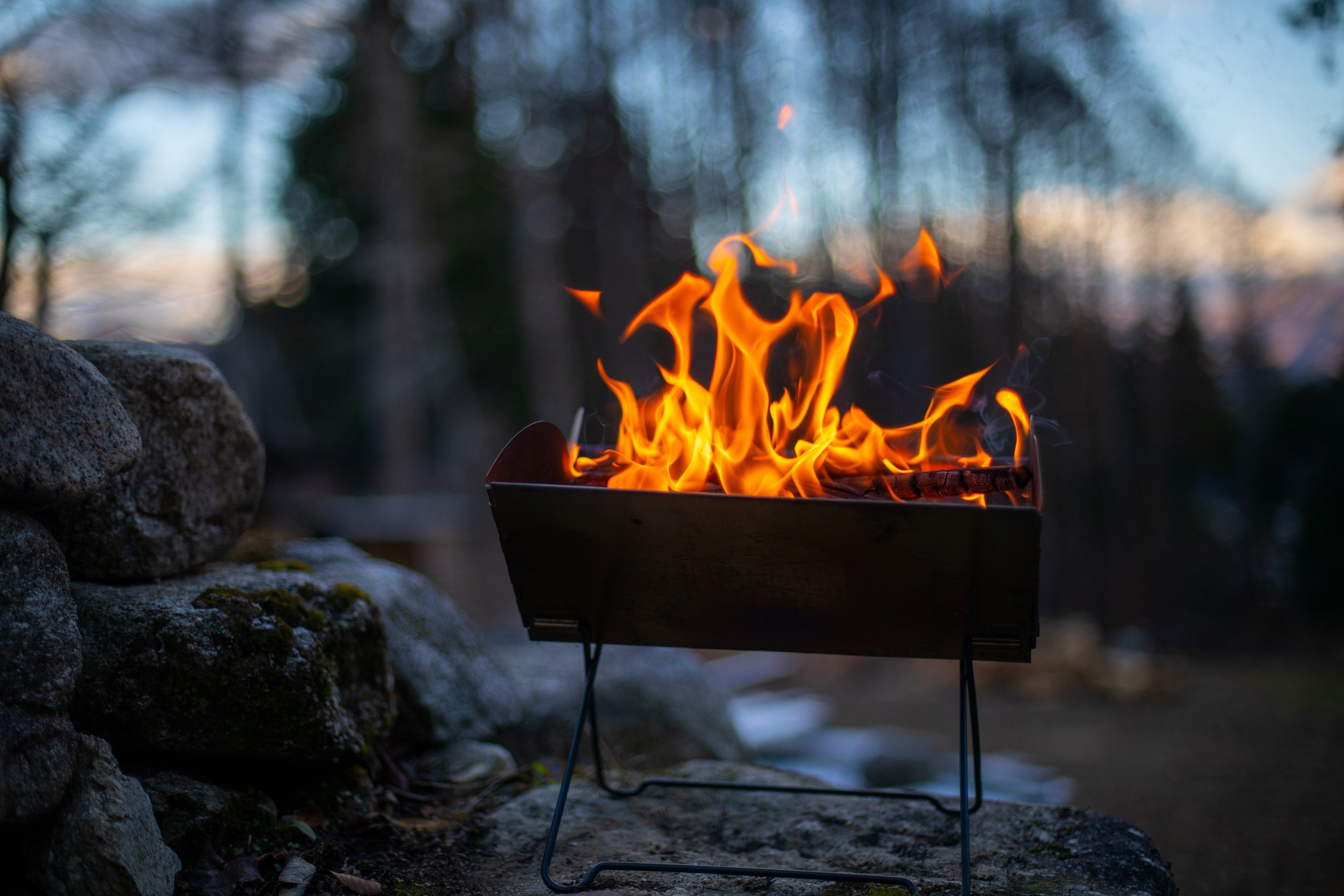 photo by 写風人 syahoojin