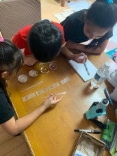 家庭での実験の様子 コンテスト参加作品のレポートより