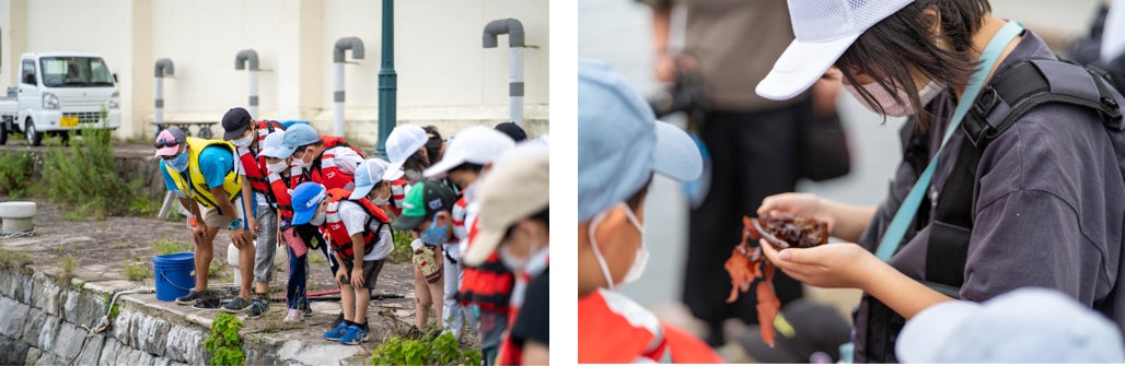 (左)岸壁からでも良く見ると海の生物を見つけられます (右)海藻の小さな穴は小魚たちが食べた跡なんだって