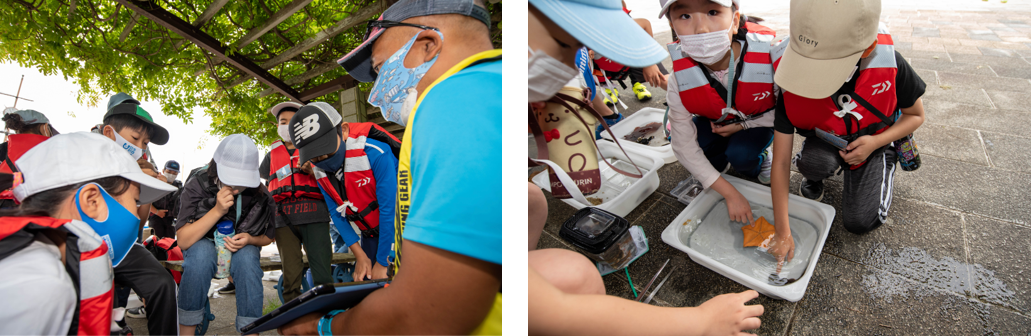 （左）岸壁から採取したプランクトンを顕微鏡で確認　　（右）ヒトデだってさわれるよ！