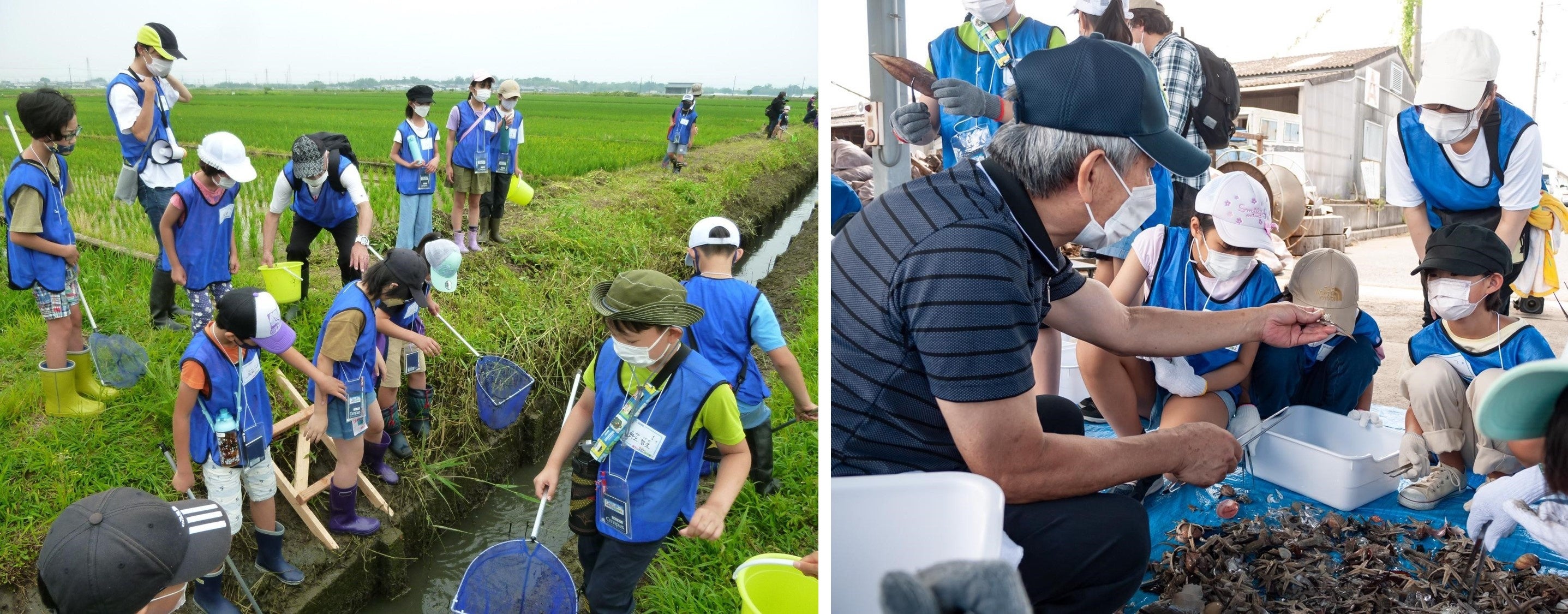 （左）環境にやさしい農業を学ぶ　　（右）大阪湾で生き物観察