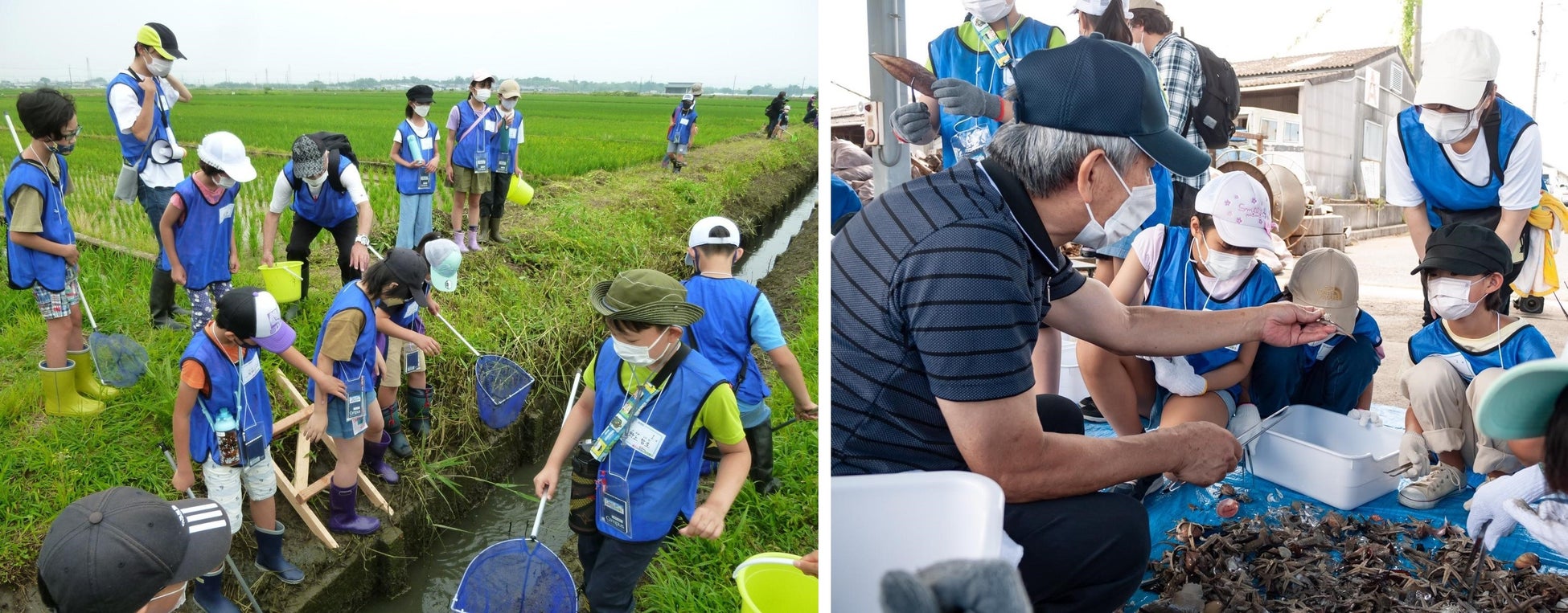 (左)環境にやさしい農業を学ぶ (右)大阪湾で生き物観察