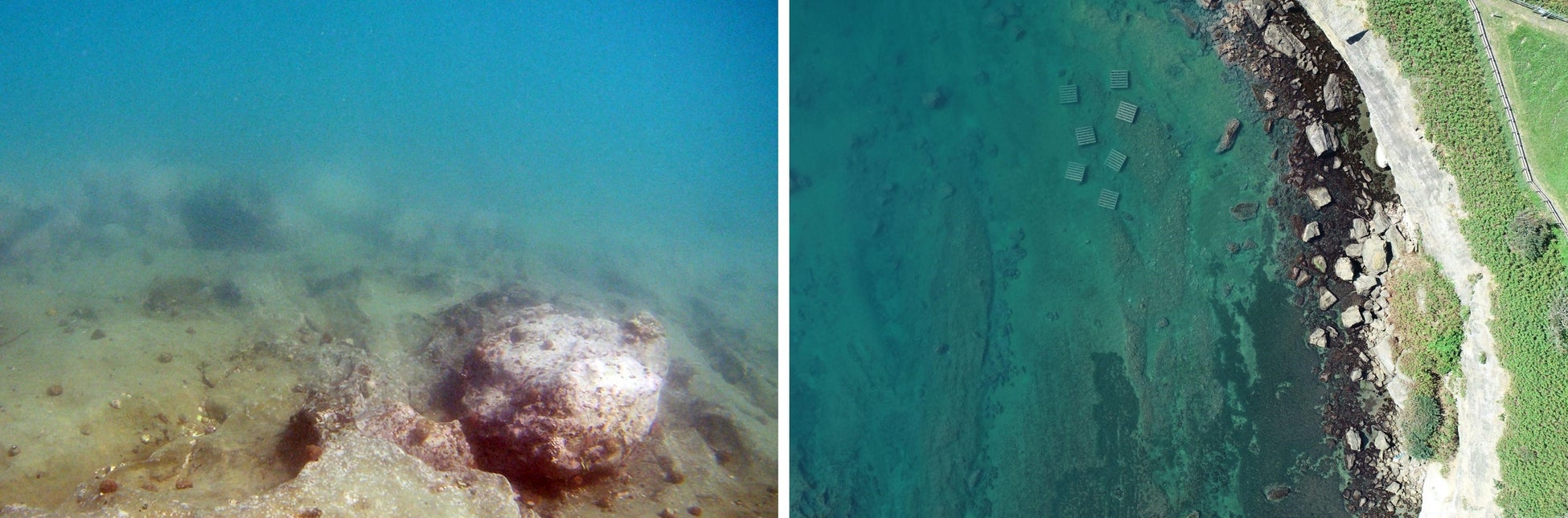 (写真左:水中ドローンで磯焼けの観察)(写真右:画面上部水中が磯焼け)