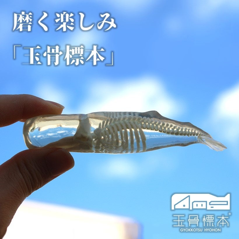 リターンの一部ご紹介