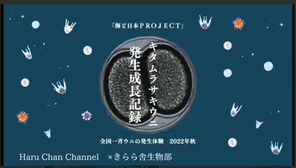 グランプリ作品：観察レポート部門の報告スライド