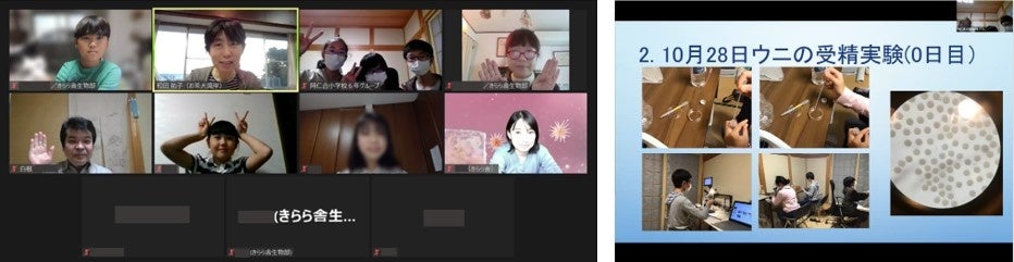 （左）11月3日の報告会の記念写真（右）発表の様子