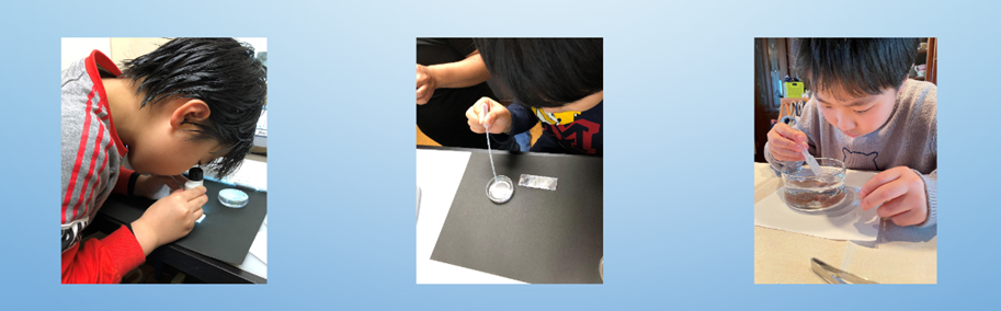 家庭での発生実験の様子（コンテスト参加作品より）