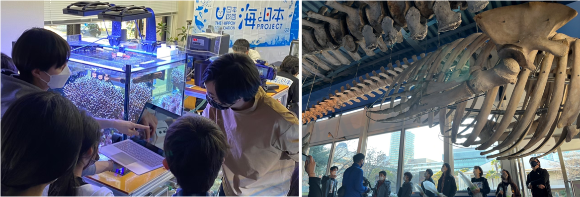 授業の様子（対面授業）