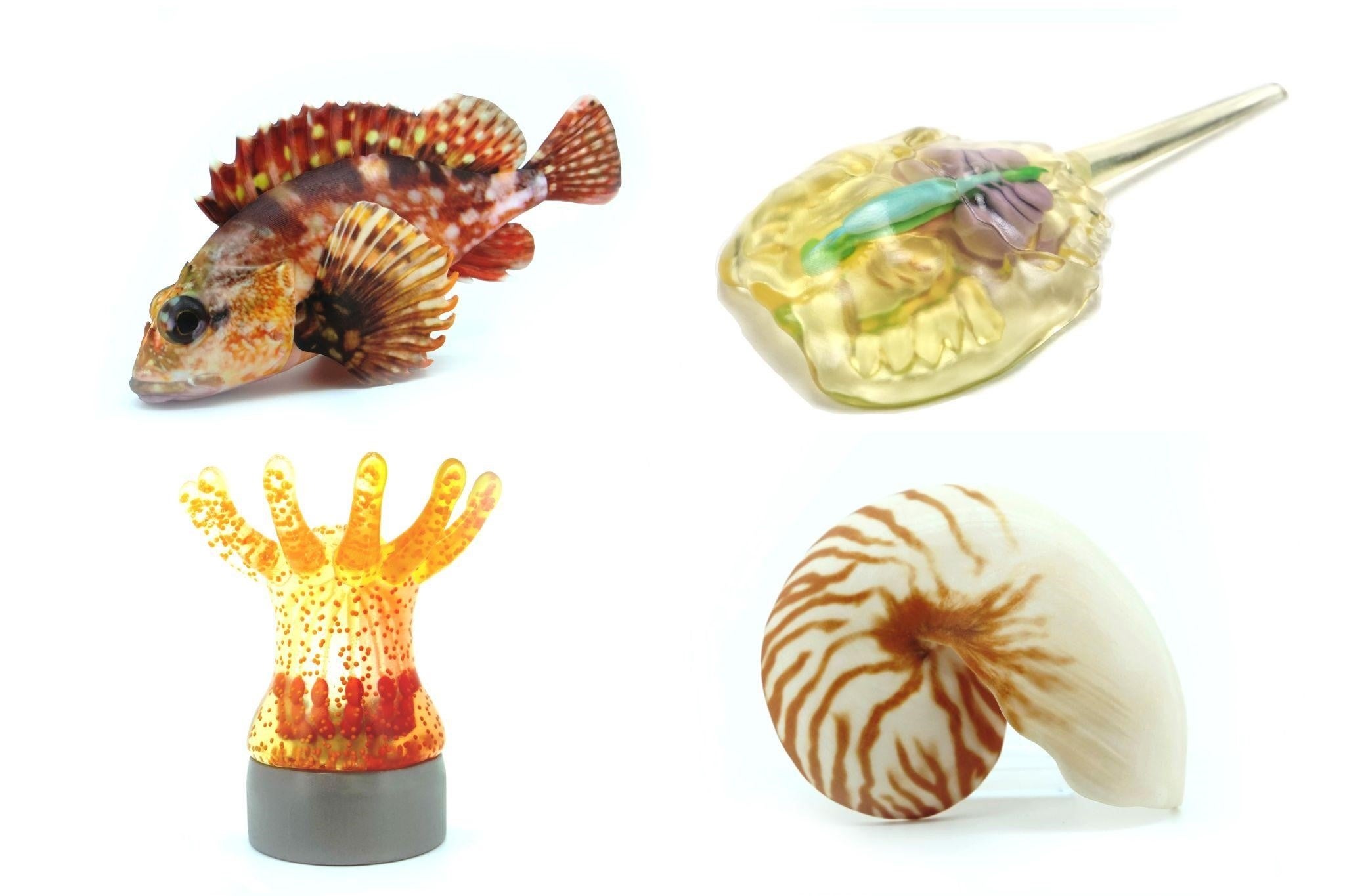 二期研究生による出力作品