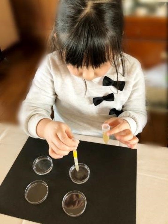 家庭での発生実験の様子（コンテスト参加作品より）