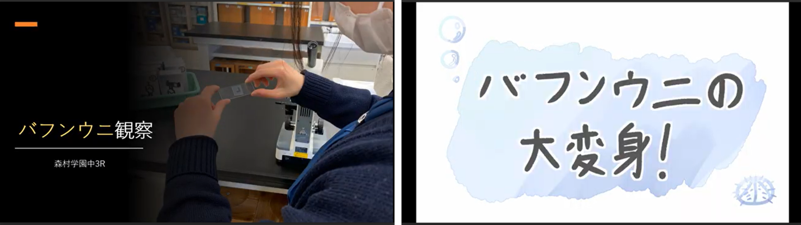 （左）観察レポート部門グランプリ作品（右）アート部門グランプリ作品