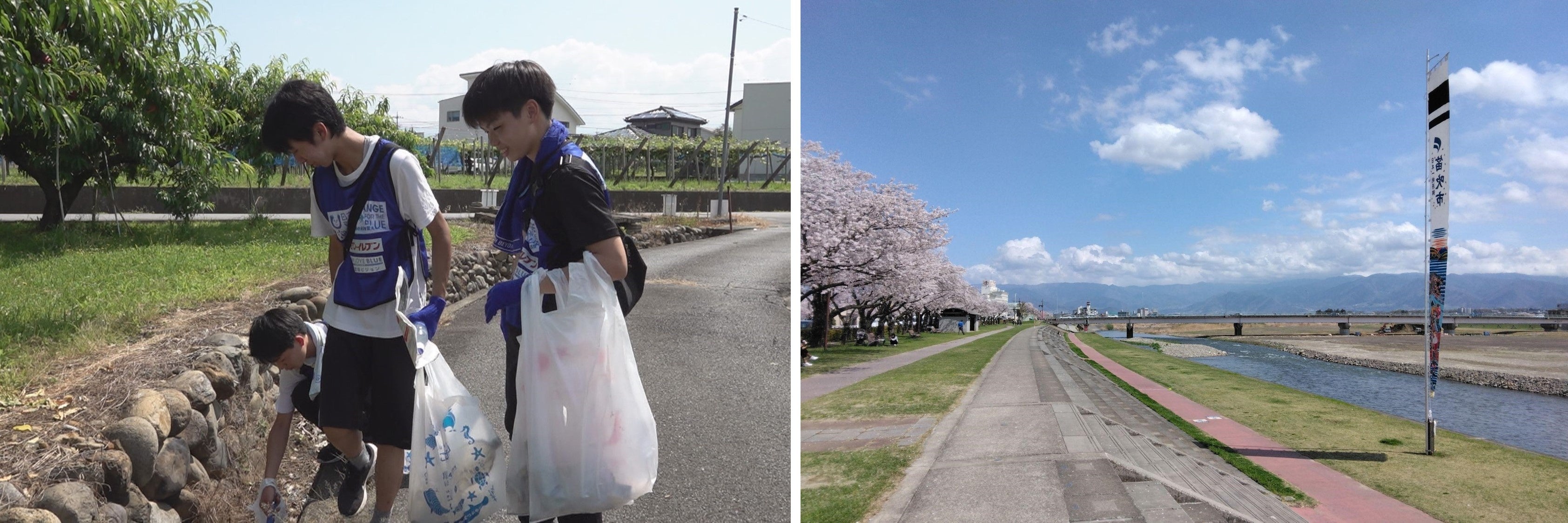 （左）モモやブドウの果樹地帯エリアも清掃活動（右）美しい笛吹川をいつまでも（春撮影）